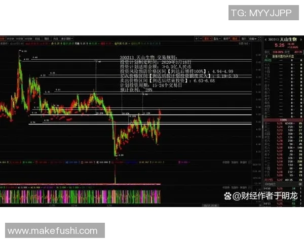 城市赛分析：BLG在技术表现上的亮眼表现与战术深度探讨